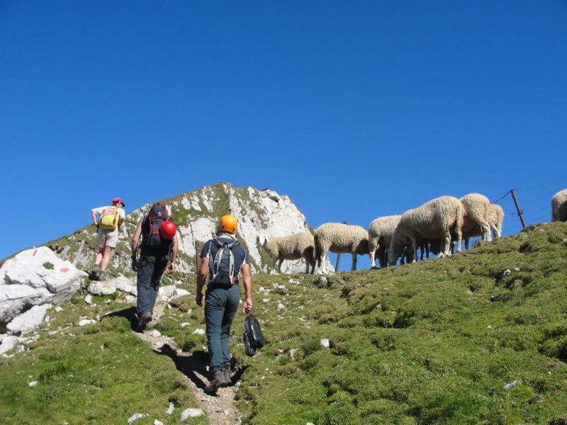 skala201243.jpg