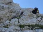 skala201254_small.jpg