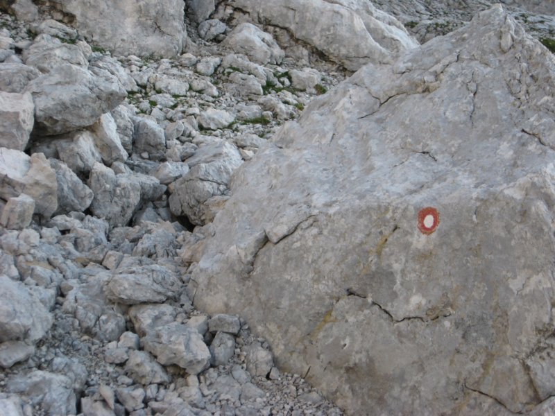 krlat201112.jpg