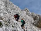 krlat201147_small.jpg
