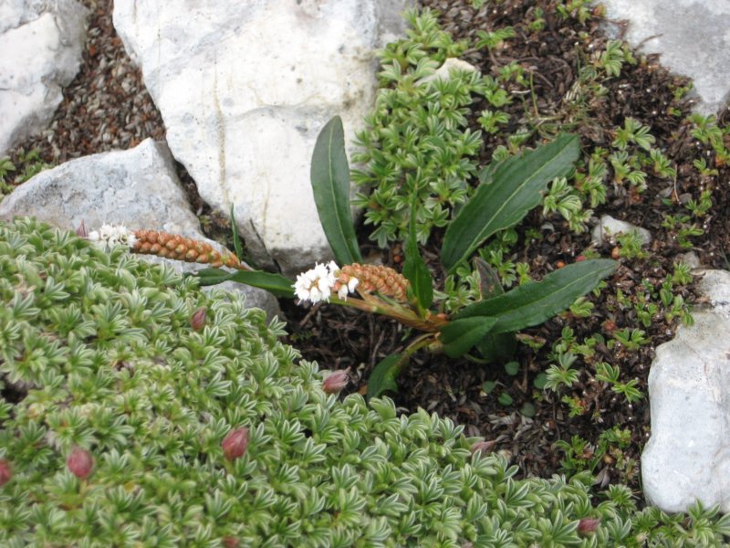 krlat201159.jpg