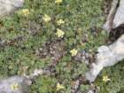krlat201164_small.jpg