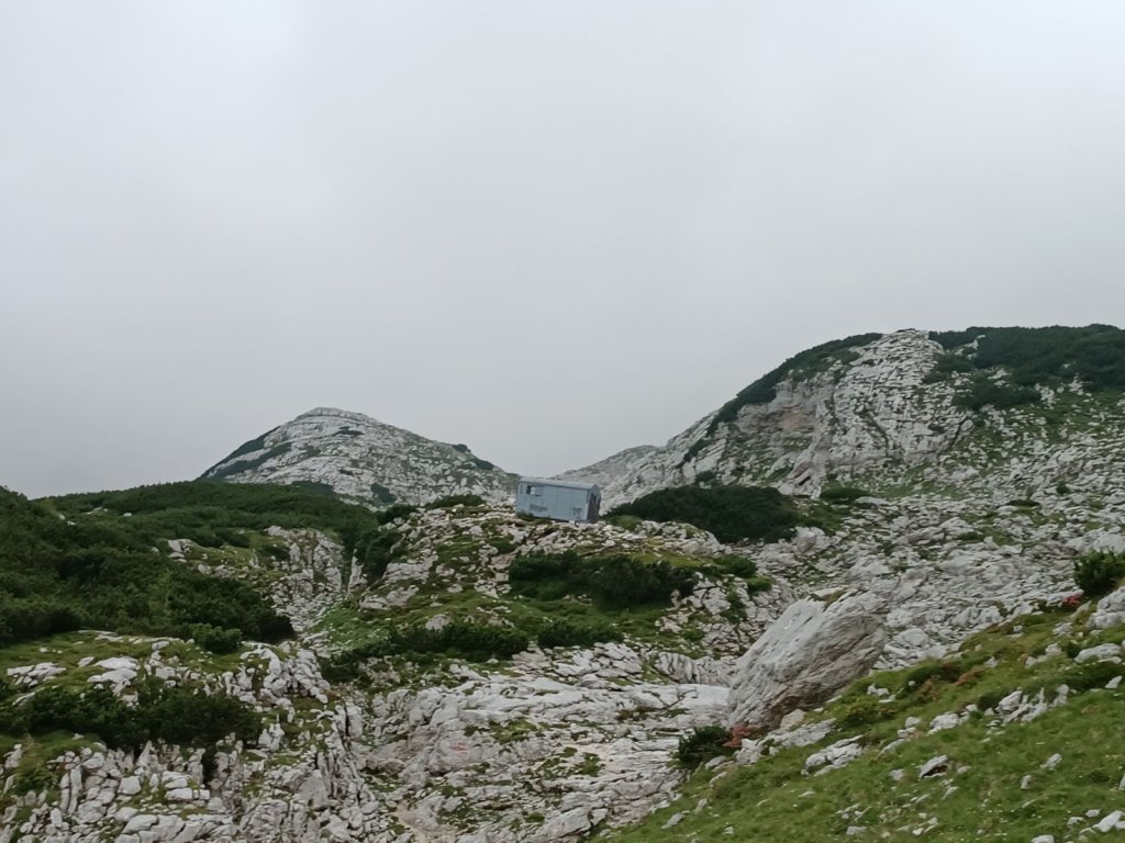 krlatica202317.jpg