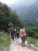 krlatica20122_small.jpg
