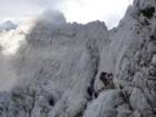 krlatica201244_small.jpg