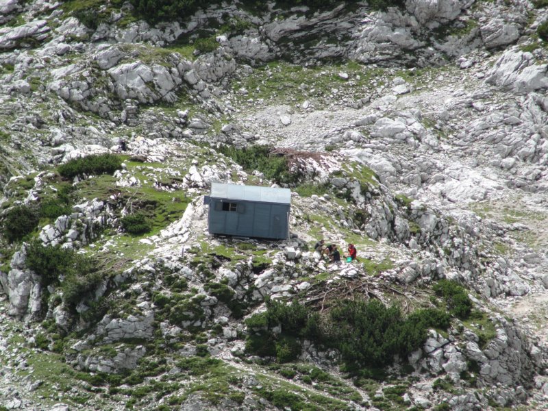 krlatica201250.jpg