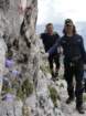 krlatica201252_small.jpg