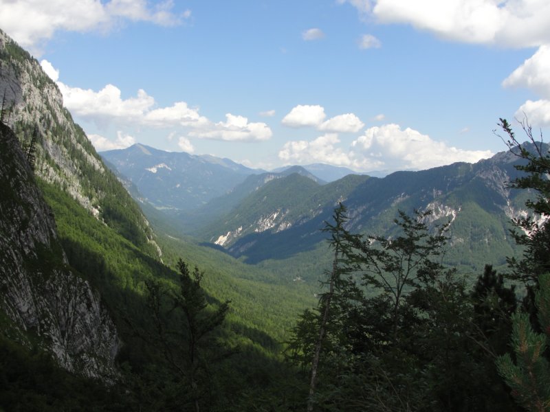 krlatica201253.jpg