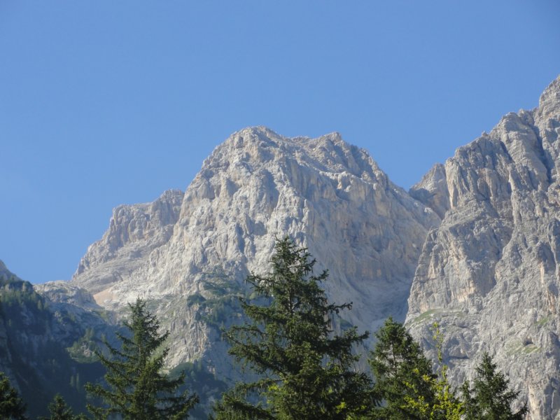krlaticapraporskale61.jpg