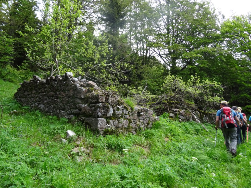 skutnik16.jpg