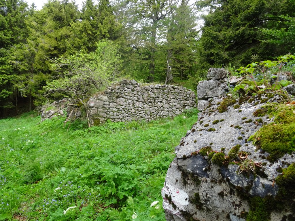 skutnik18.jpg