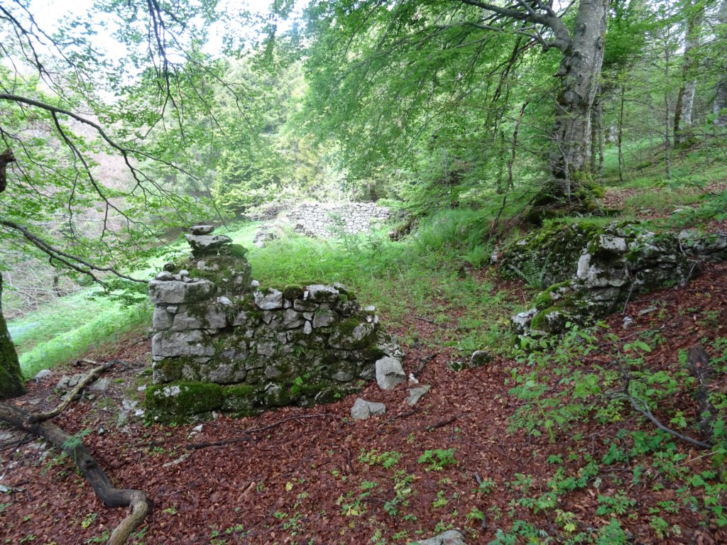skutnik19.jpg