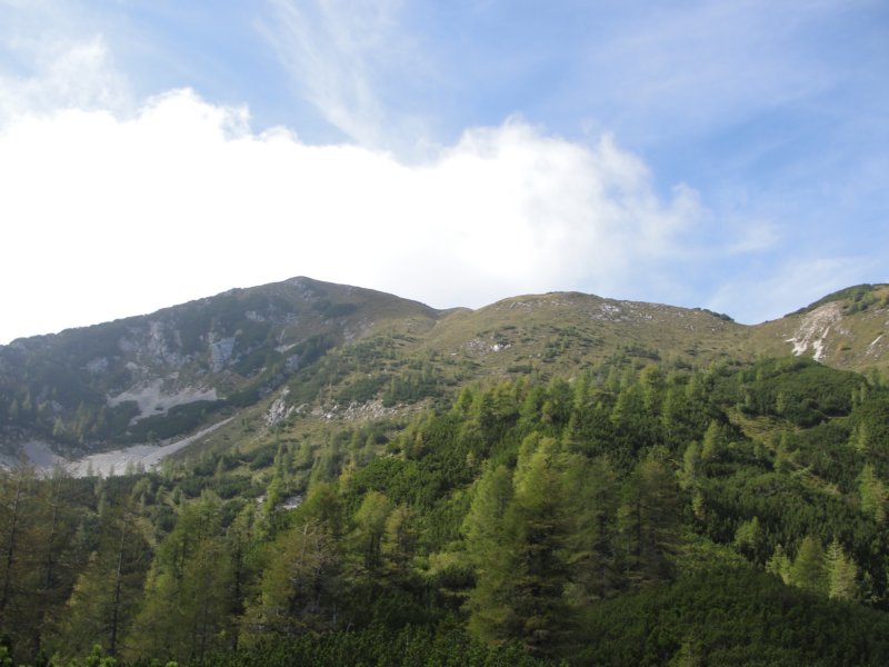 sleme37.jpg