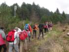 slivnica2_small.jpg