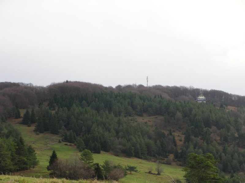 slivnica5.jpg