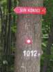 slomkovapot15_small.jpg