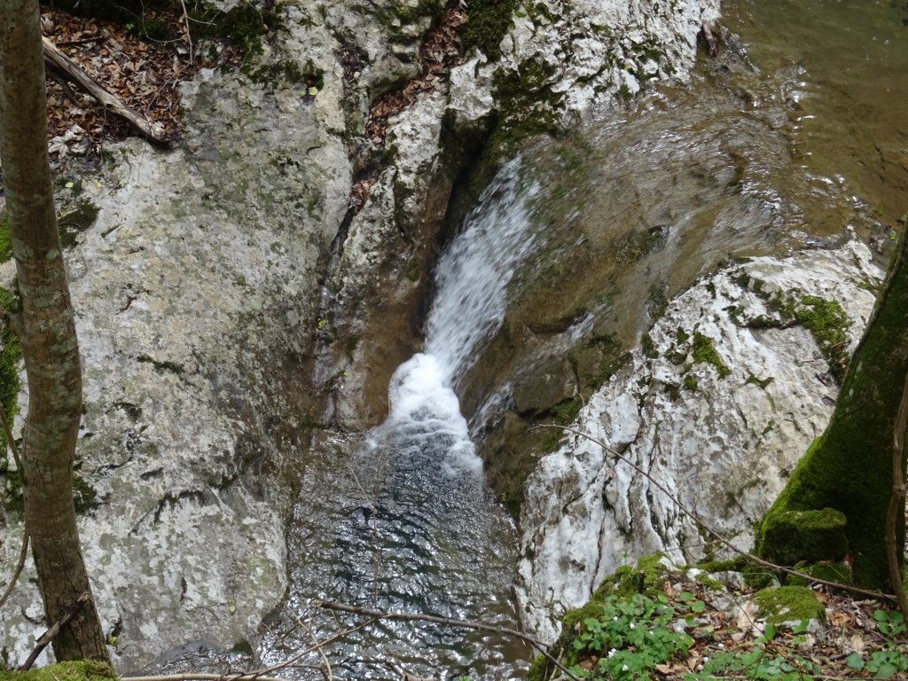 soteskadoblarce62.jpg