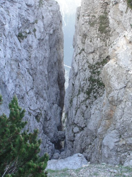 pik020.jpg