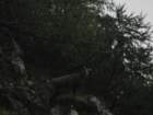 stenar1_small.jpg