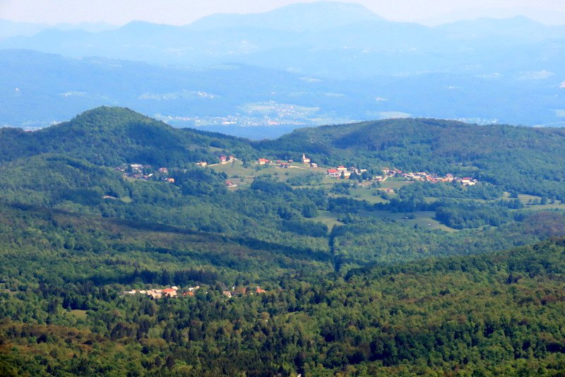 svana202422.jpg