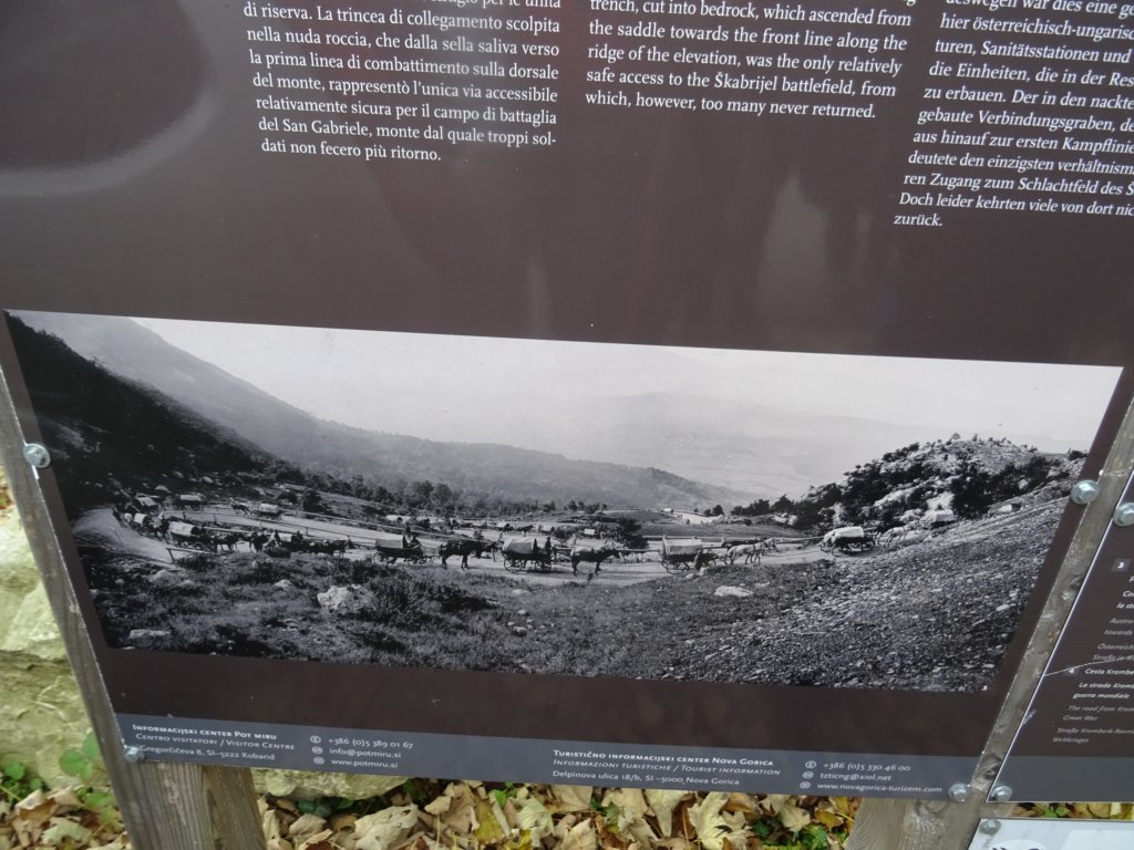 svdanijelkabrijel35.jpg
