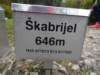 svdanijelkabrijel42_small.jpg