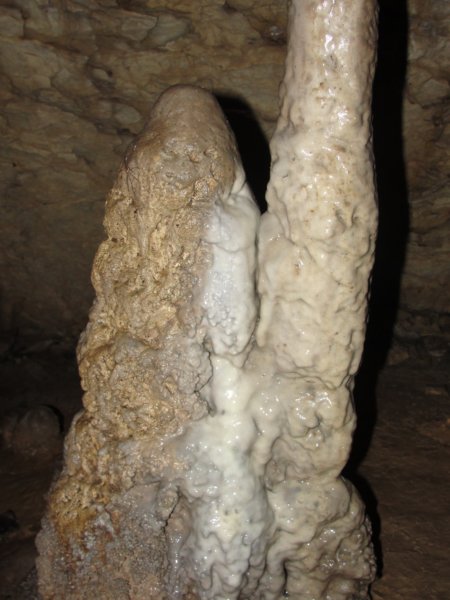 svana12.jpg