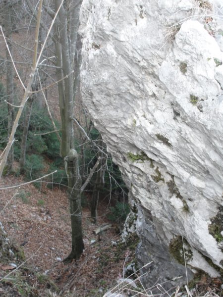 svana67.jpg