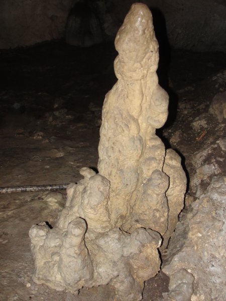 svana7.jpg