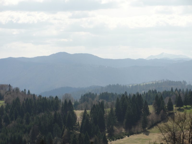 svana74.jpg