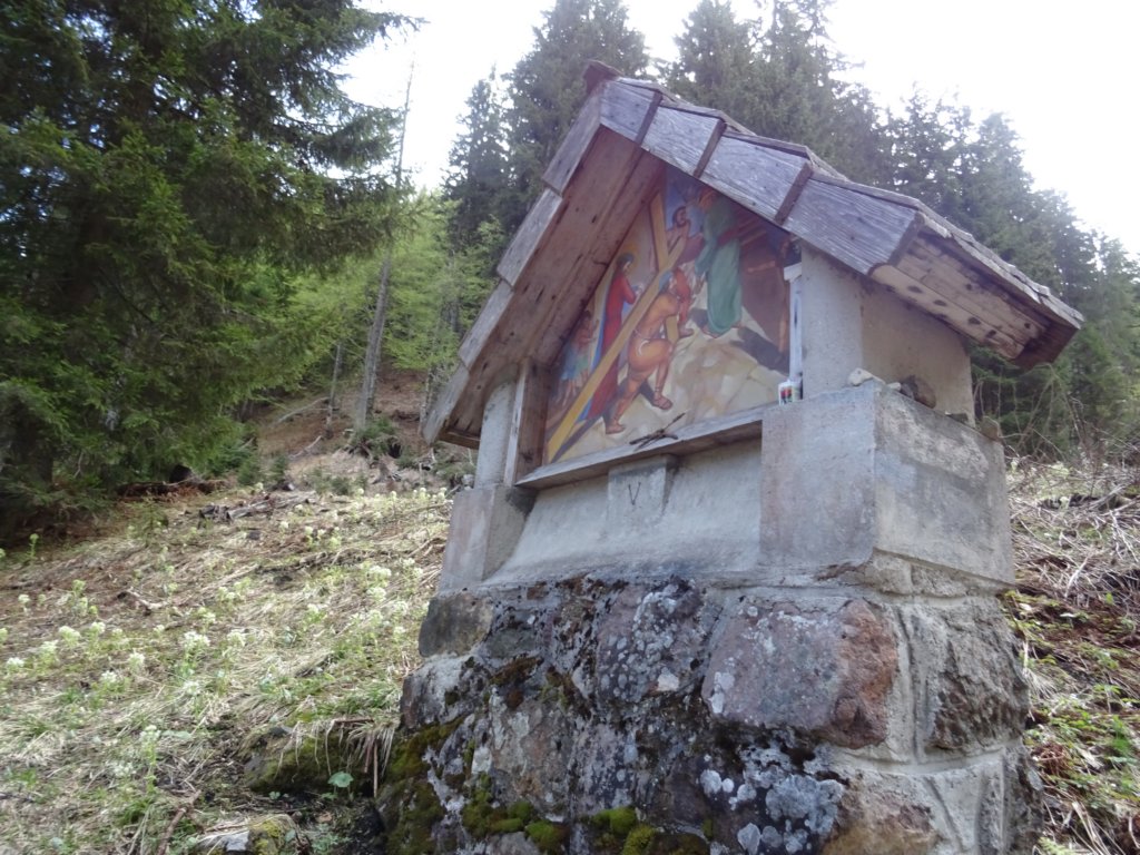 svviarje201817.jpg