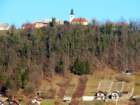 svpeter202447_small.jpg