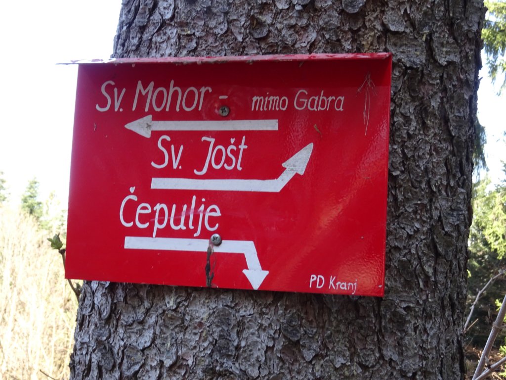 svjot50.jpg