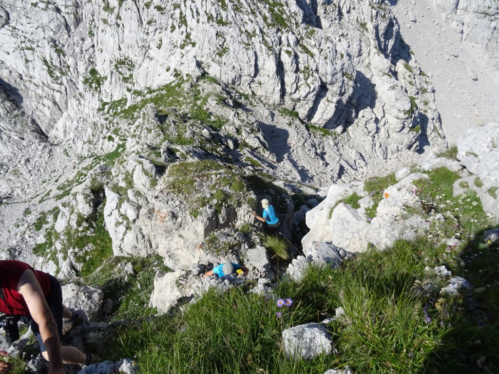 skutnikgriva29.jpg