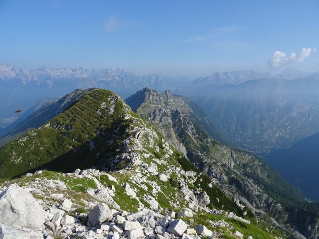 skutnikgriva5.jpg