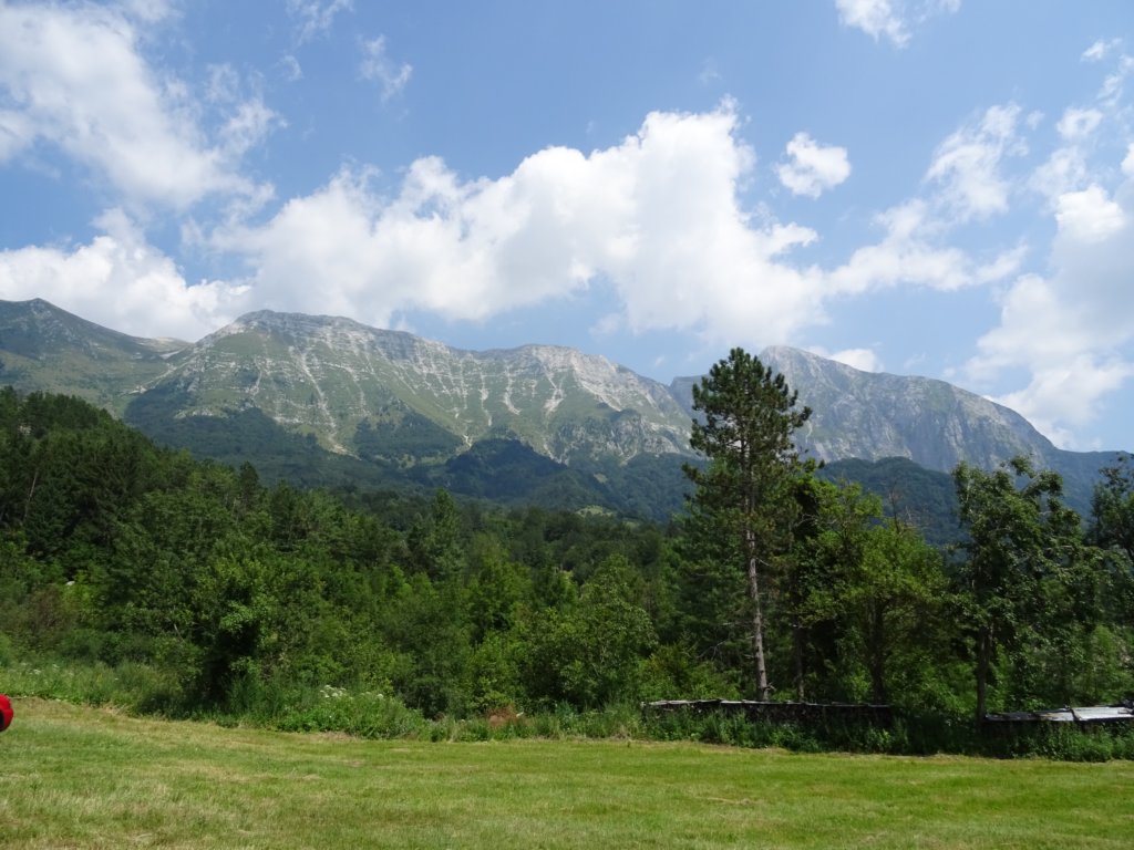 skutnikgriva77.jpg