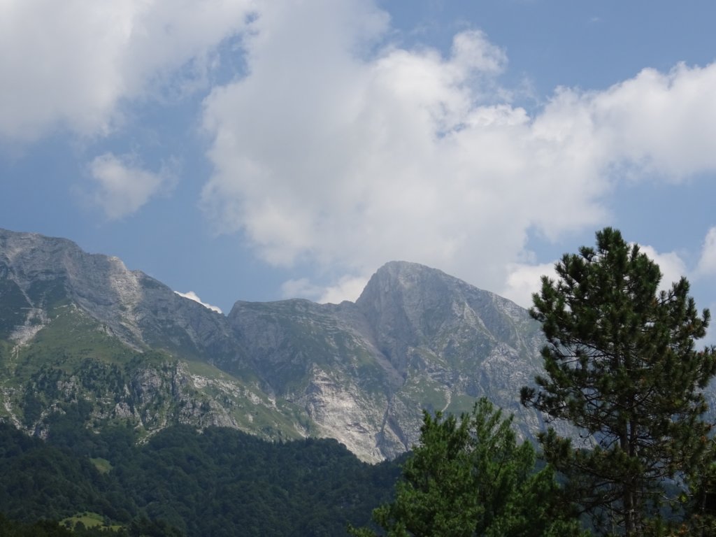 skutnikgriva80.jpg