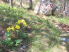paklenica202663_small.jpg