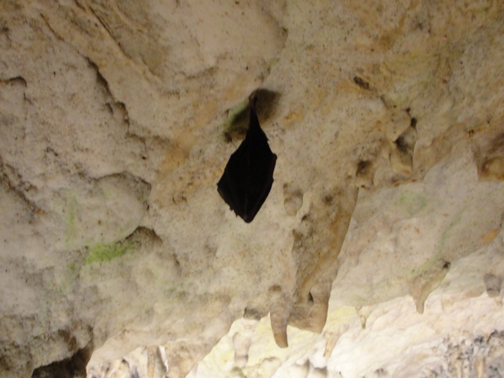 taborcerovo39.jpg