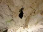 taborcerovo39_small.jpg