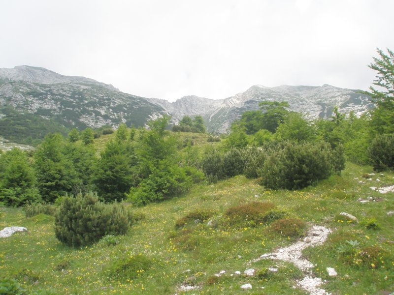 tolminskikuk33.jpg