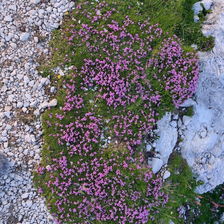 triglav202410.jpg