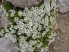 triglav201816_small.jpg