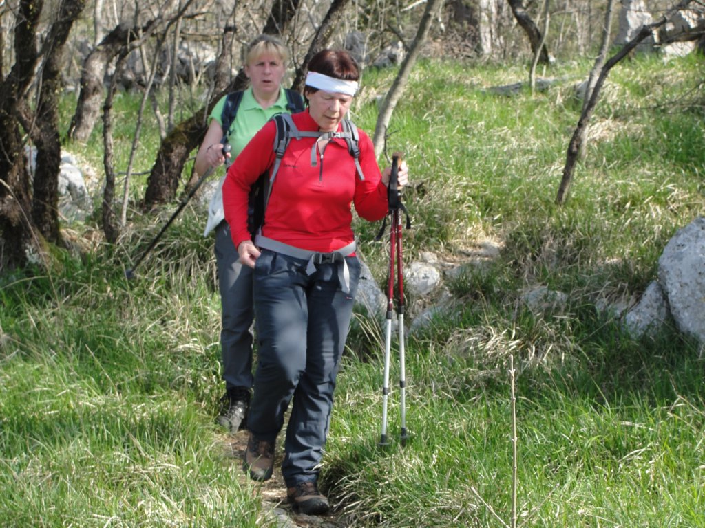 trnovskaplanota23.jpg