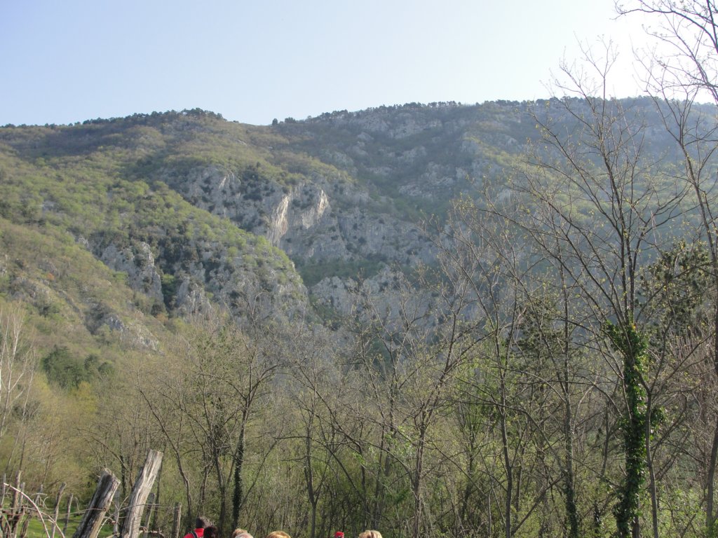 trnovskaplanota7.jpg