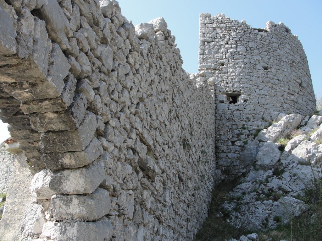 trnovskaplanota82.jpg