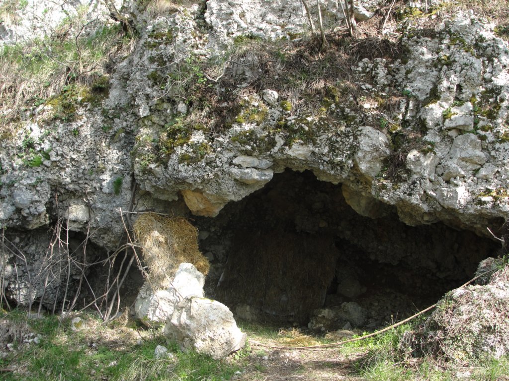 trnovskaplanota92.jpg