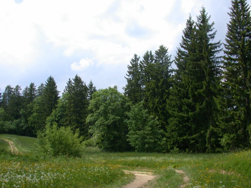 urljagora22.jpg