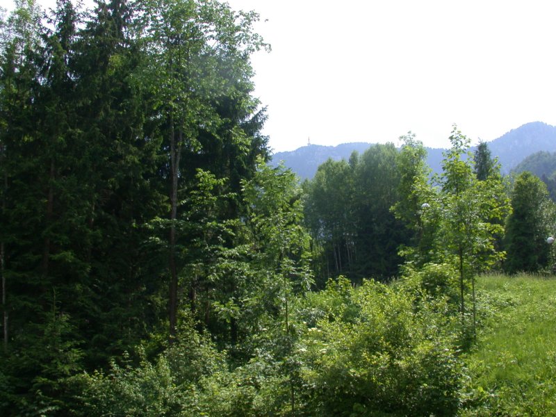 urljagora24.jpg