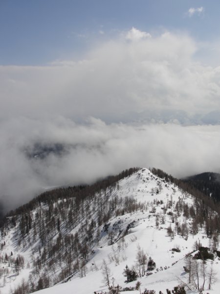 pokljuka11.jpg